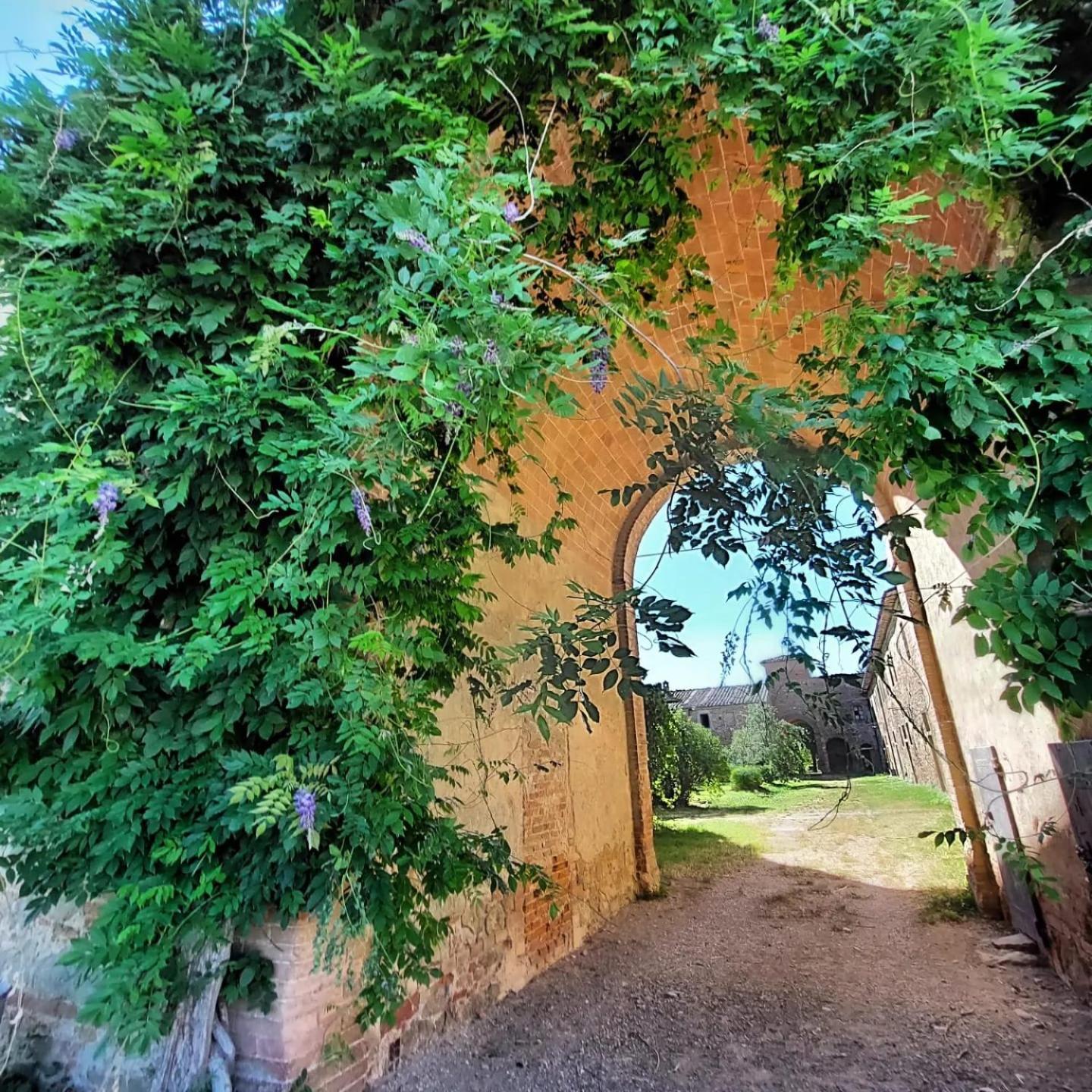 Tenuta La Fratta Sinalunga Exterior photo